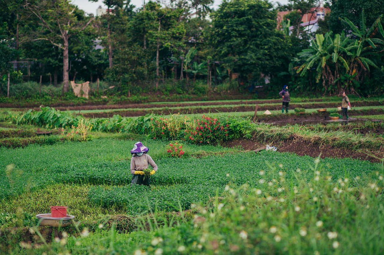 agriculture
